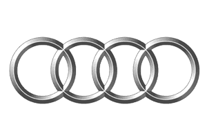 Used Audi Engines